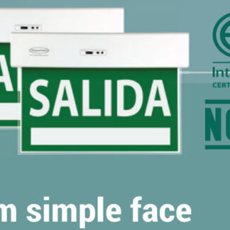 SE?AL DE SALIDA SEGURIMAX VERDE STD DF 26 X 22cms